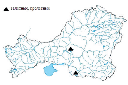 area